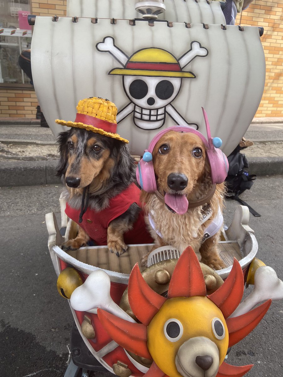 boukenherokanai's tweet image. @pipotaka 
やっと会えた！！
忠生船長とアベティアちゃん！
ルフィとナミかわえかったよー
#コスサミ
#コスサミ2024
#アベルくんとティアラちゃん