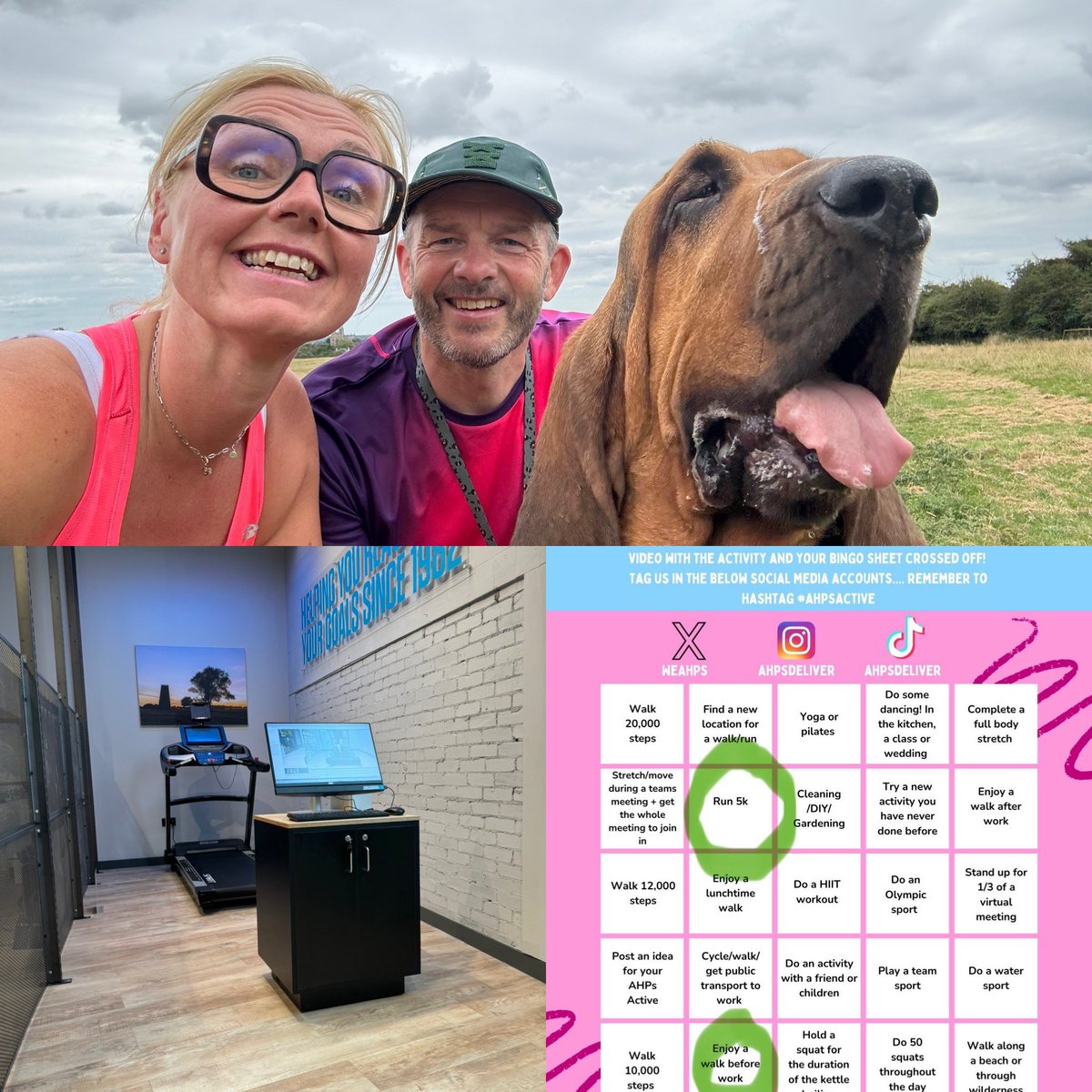 patienceOT71's tweet photo. Day 4 of  #AHPsActive and a trip for a gait analysis before a 5k run with the slobbery hound. 
#occupationaltherapy https://t.co/HnI4O7ZM0j