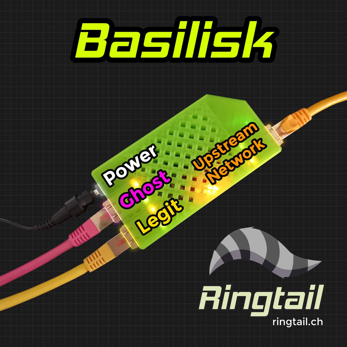 Basilisk Classic is finally back in stock 😈🦝

ringtail.ch/products/basil…

#basilisk #ethernet #ghosting #pentest