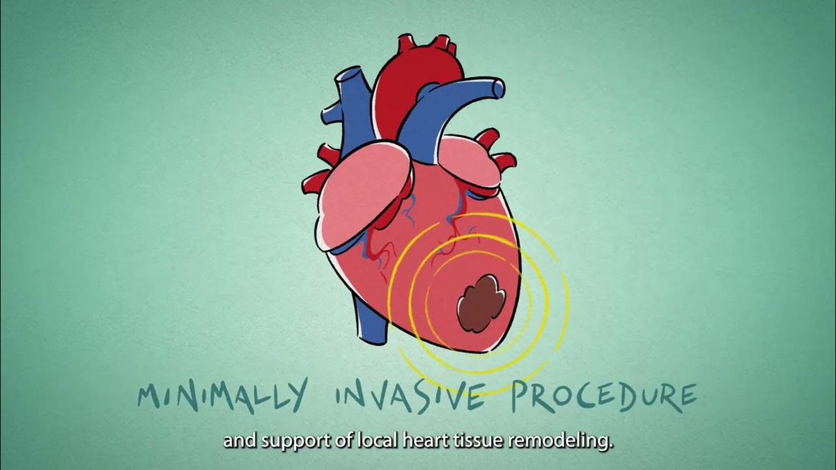 Reborn Project tweet media