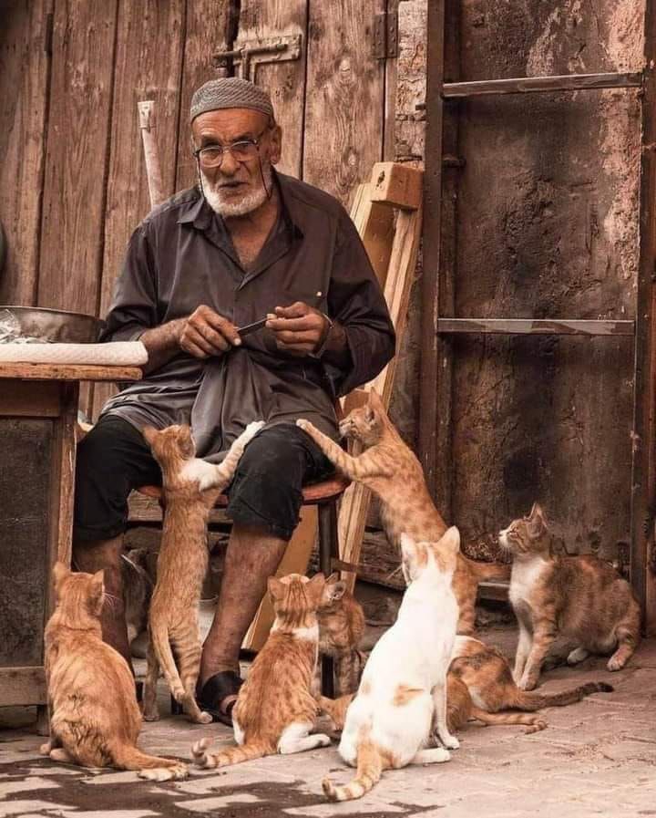 وَذُو الْكَرم الْكَرِيم ترَاهُ سهلا 
طليق الْوَجْه لَيْسَ بِهِ التواءُ*