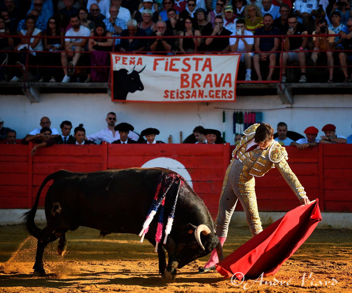 <a href="/RafiRaucoule/">Rafi Raucoule "El Rafi"</a> toro de San Sebastian, Riscle