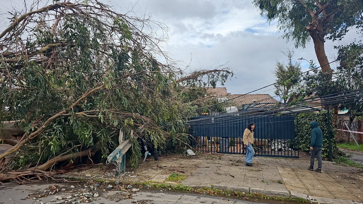 fmolinpe's tweet photo. Es una verguenza los servicios publicos, 48 hrs con un arbol dentro de la casa y nadie da solución #Maipu #EnelDistribución @EnelChile @Enel_Informa_CL @TomasVodanovic @aundurragav @agustinromerole @Claudia_Mix @Muni_Maipu @Mega @biobio @canal13 @Orrego https://t.co/TngEkdsEc2