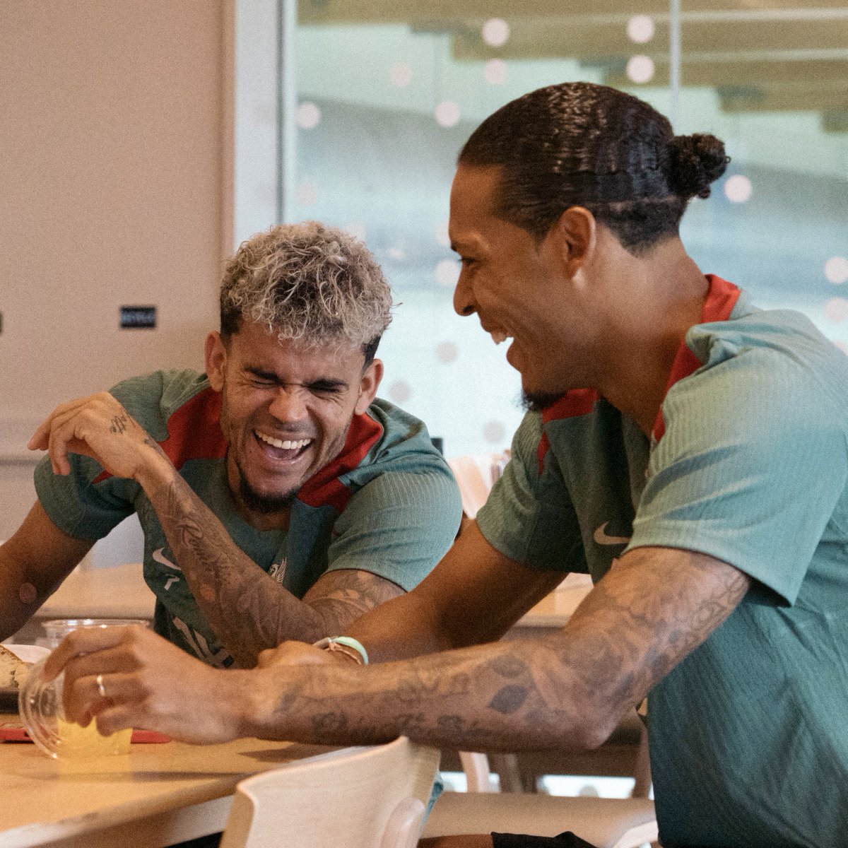 😆 Lucho x VVD 😆