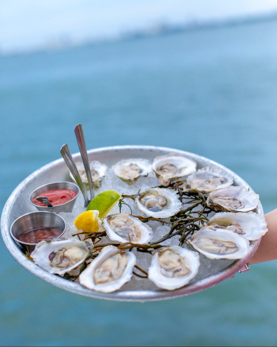 Shellabrate 🦪 National Oyster Day tomorrow at AMARA! Dive into $1 @IslandCreekOysters paired with half-off bottles of @Champagne_Lallier because what's better than oysters and bubbly by the bay? 🍾✨ #amaraatparaiso #nationaloysterday