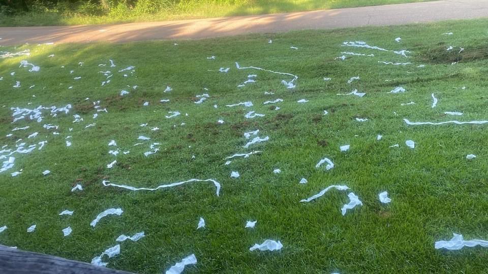 Canes SE MS 2025 tweet media