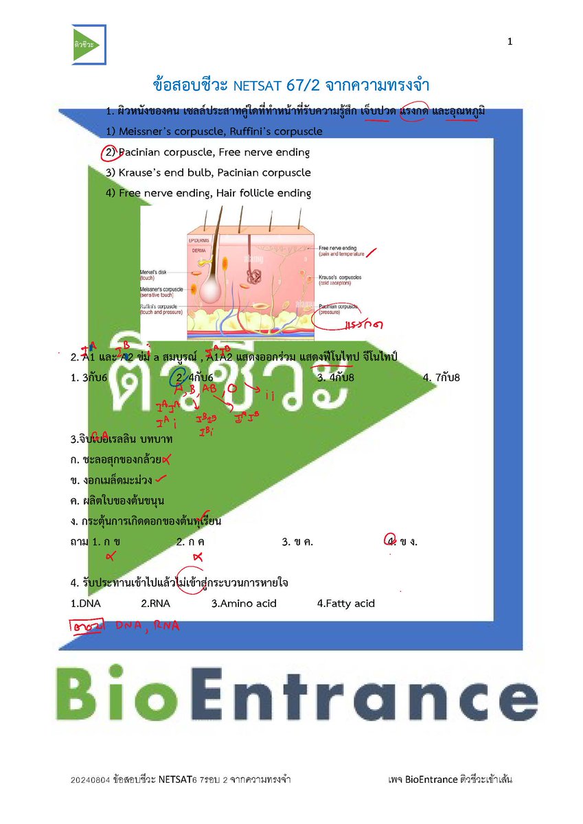 BioEntrance ติวชีวะเข้าเส้น tweet media