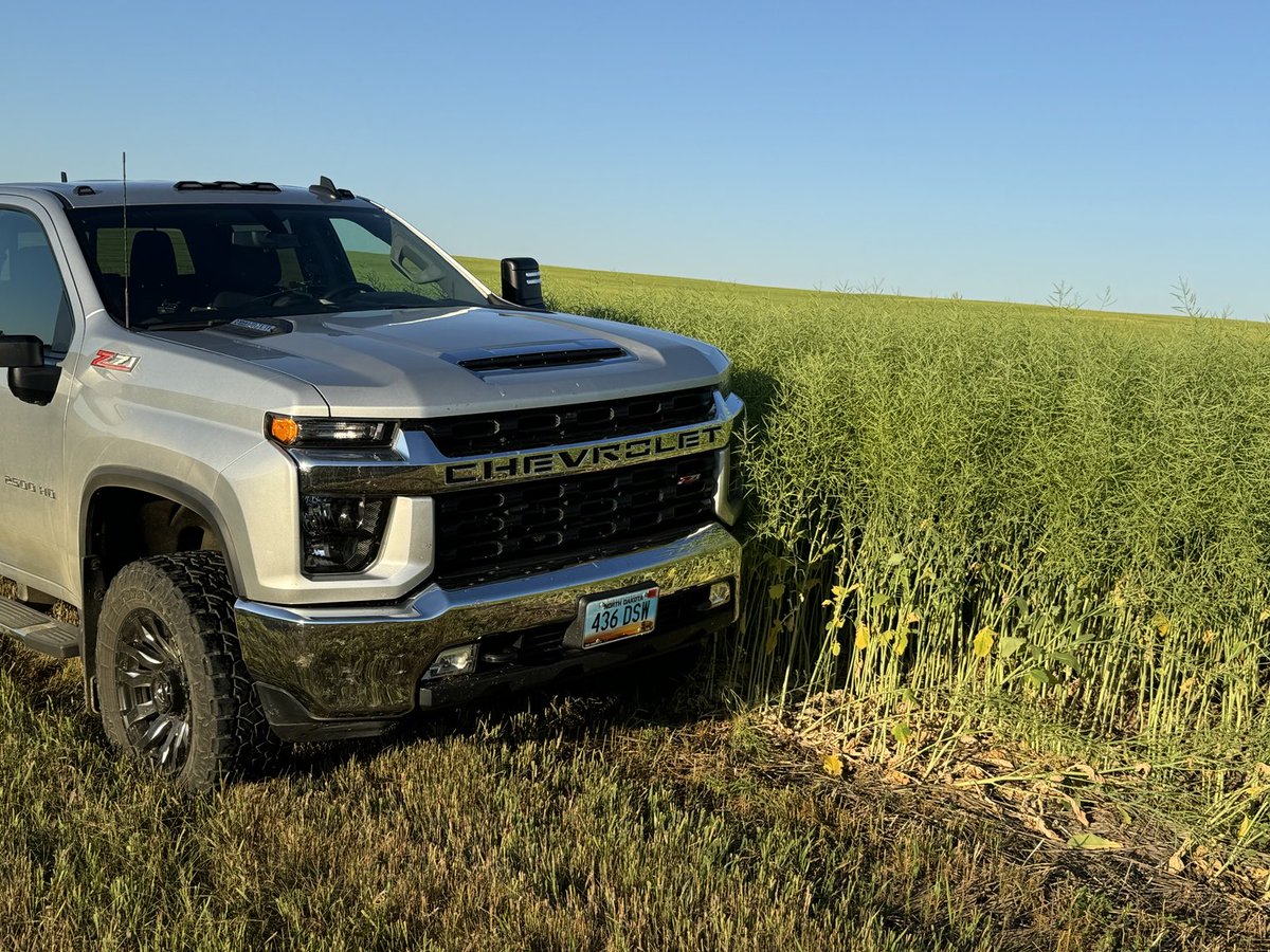 travismesser81's tweet photo. Finally starting to turn on our @BASFAgProducts 20” and 15” #Invigor #canola trials. All planted with @PrecisionPlant #PrecisionMaXX @NACHURS fertility comparisons planting rate & planting date trials. Results coming soon! @Harvest_Int_Mfg https://t.co/IRUjW7Afdo