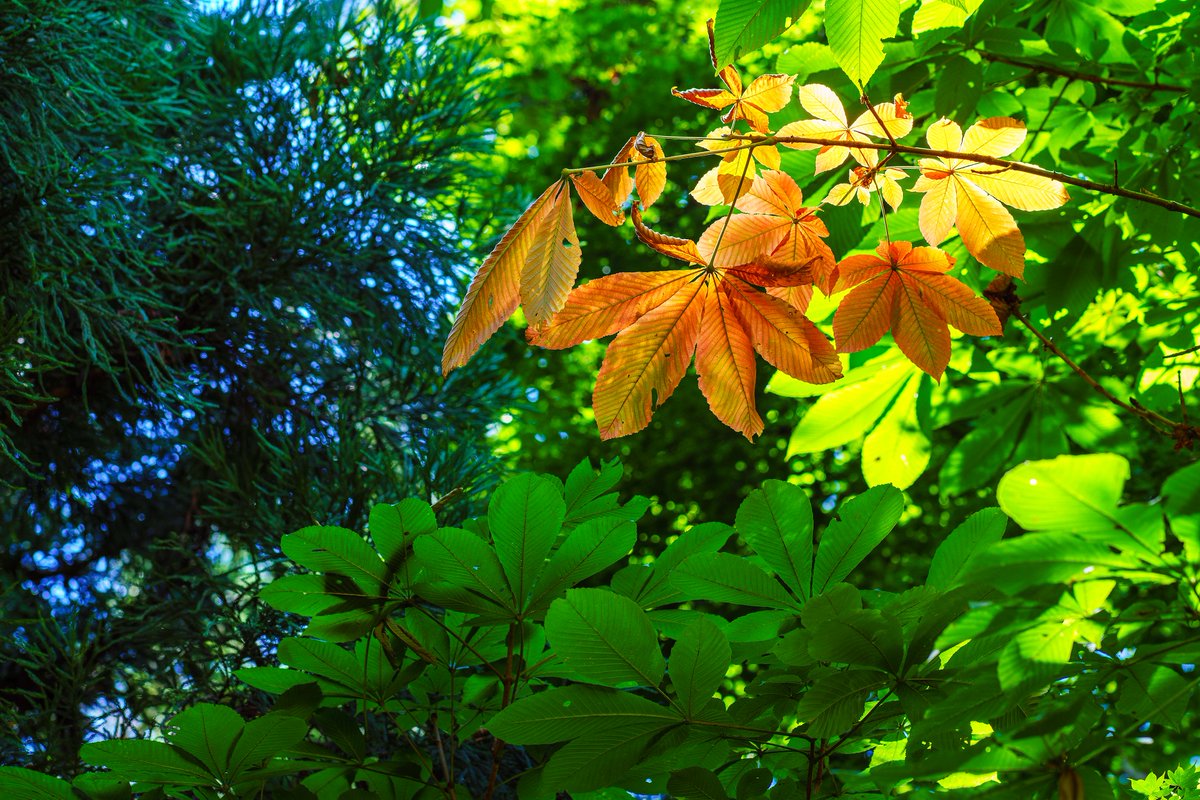 Atsushi ITOH tweet media