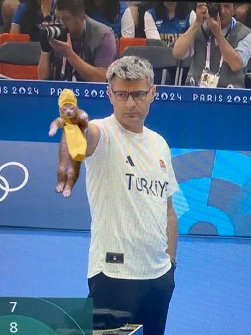 cats.jpg (@catsdotjpg) on Twitter photo 