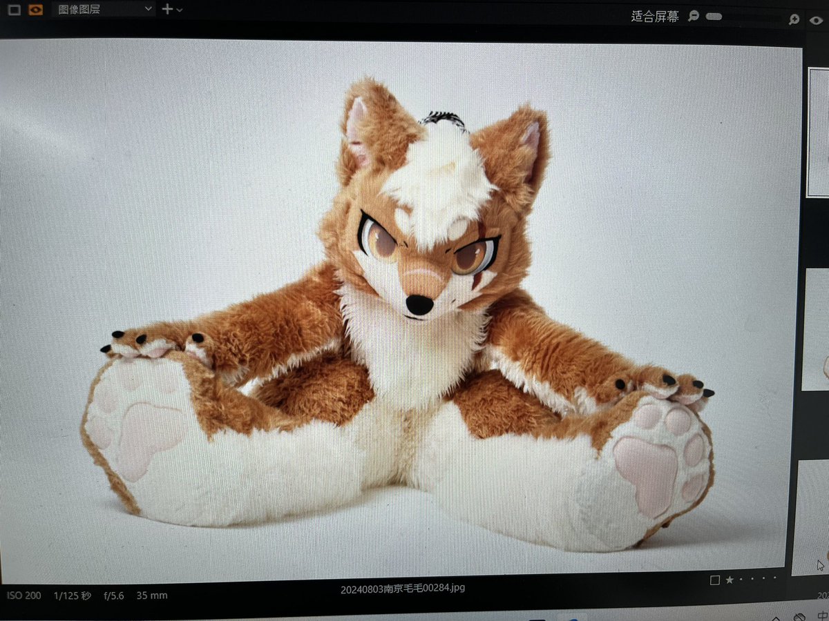 threedogs12329's tweet photo. #FursuitEveryday 
#fursuit 
偷偷图透
我坐位体前屈可以压到33cm哦🥰
📷@CinderTang https://t.co/f8mvXwAewc