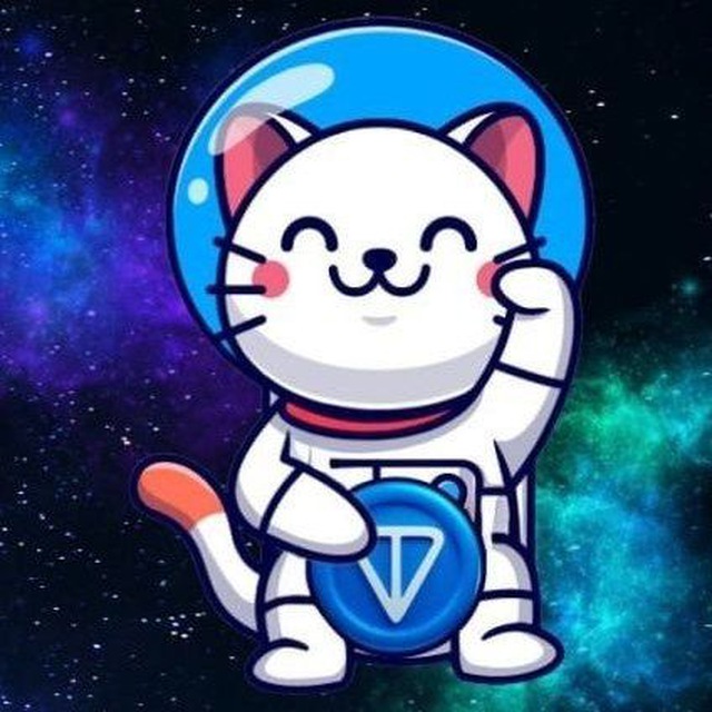 CATONAUTON's tweet photo. @0xweb3bond CATONAUT is pretty cool 😎 https://t.co/EFeUKSq2qN