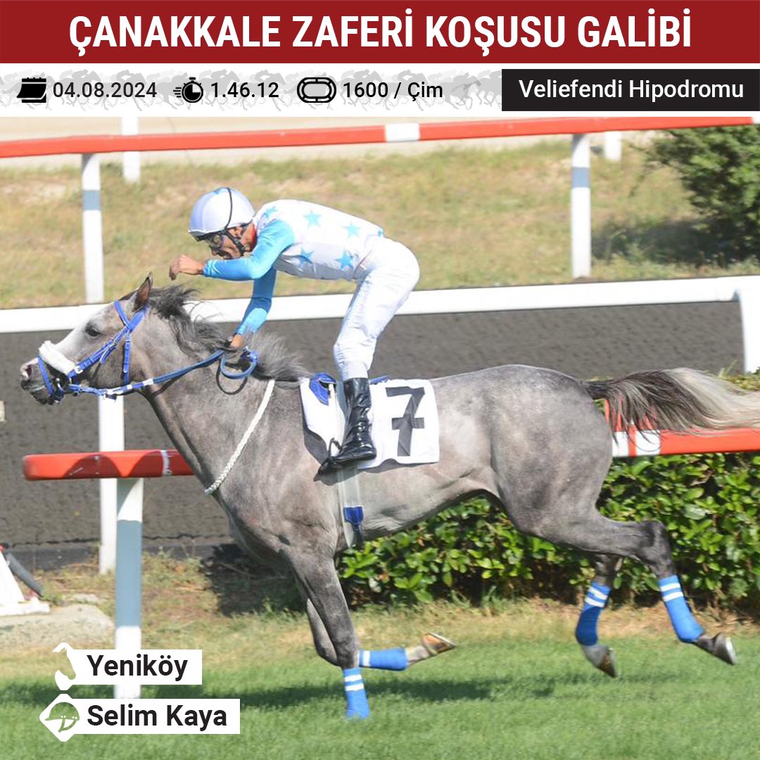 G1 Çanakkale Zaferi Koşusu galibi:

Yeniköy &amp; Selim Kaya.