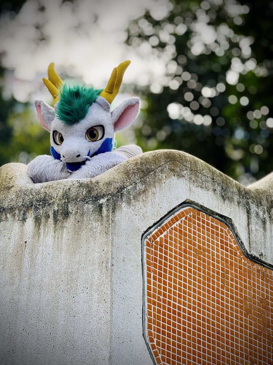 Aozora Okami ๐ UTFG,Infurnity,FURUM (@kiryu9806) on Twitter photo Feeling Monday blues on a Sunday ?
Have some cute Anakie to soothe those thought away.
๐ธ+๐จ= <a href="/kiryu9806/">Aozora Okami ๐ Infurnity,FURUM</a> on iPhone
๐ฒ๐=<a href="/BusCaptainDrgn/">Anakie ๐ ??2025</a>
#FursuitEveryday Feeling Monday blues on a Sunday ?
Have some cute Anakie to soothe those thought away.
๐ธ+๐จ= <a href="/kiryu9806/">Aozora Okami ๐ Infurnity,FURUM</a> on iPhone
๐ฒ๐=<a href="/BusCaptainDrgn/">Anakie ๐ ??2025</a>
#FursuitEveryday