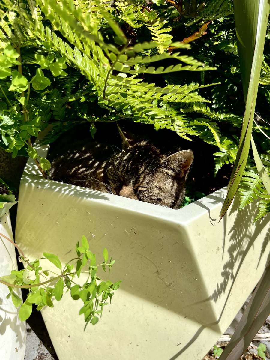 Meg Fenn (@creativemegfenn) on Twitter photo 