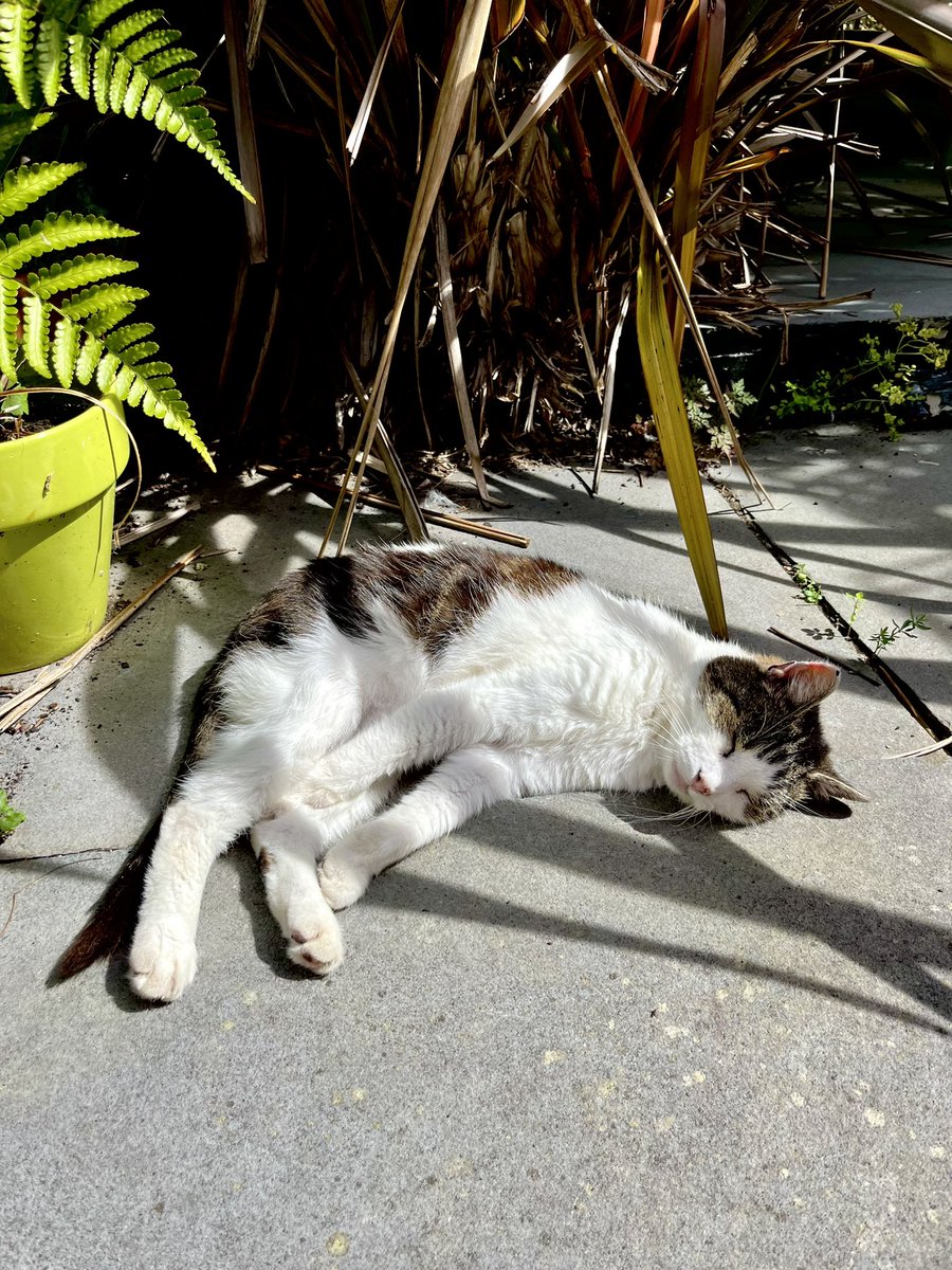 Meg Fenn (@creativemegfenn) on Twitter photo 