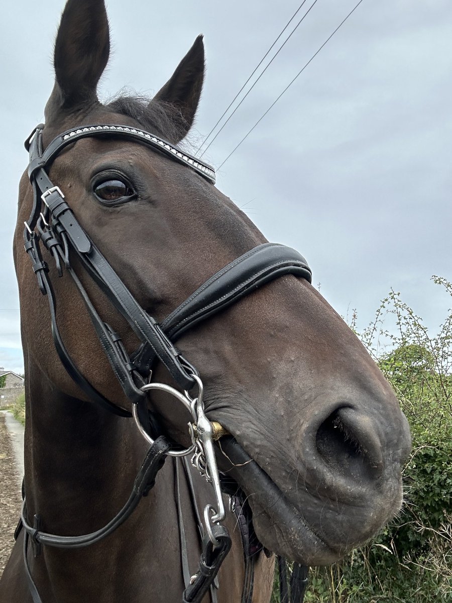 debbra22's tweet photo. 2 of my favourite miles completed this weekend, #Miles4Radiotherapy #M4RT @radiotherapy_uk
7 months after our accident, was great to be back on board 🏇 https://t.co/x1xiY4fZai