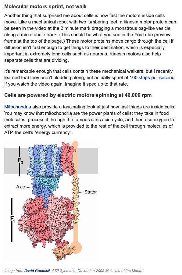 Niko McCarty 🧫 (@nikomccarty) on Twitter photo 30 Essays to Make You Love Biology
Day 2. "Cells are very fast and crowded places" by <a href="/kenshirriff/">Ken Shirriff</a>.
"A small molecule such as glucose is cruising around a cell at about 250 miles per hour."
"A typical enzyme can collide with something to react with 500,000 times every second." 30 Essays to Make You Love Biology
Day 2. "Cells are very fast and crowded places" by <a href="/kenshirriff/">Ken Shirriff</a>.
"A small molecule such as glucose is cruising around a cell at about 250 miles per hour."
"A typical enzyme can collide with something to react with 500,000 times every second."