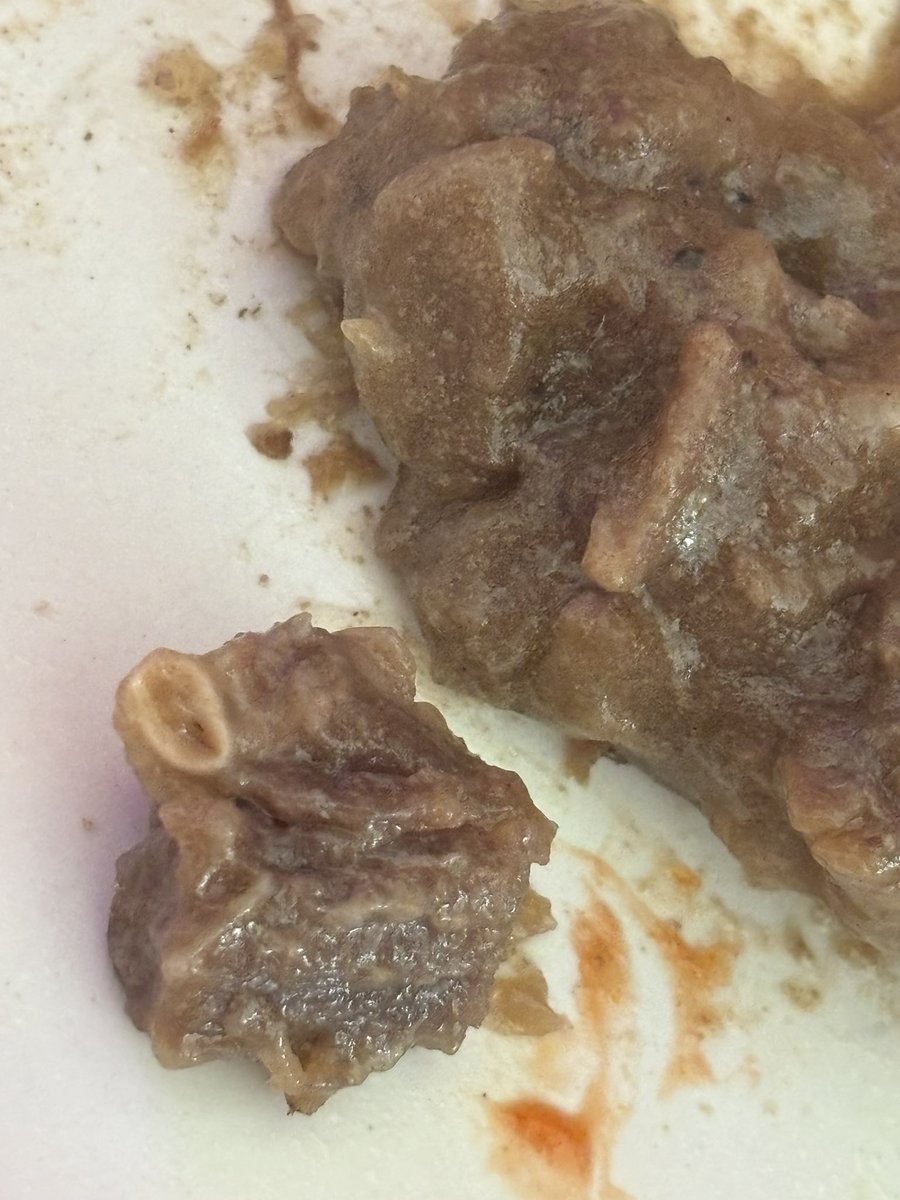 chels 🌷 tweet media