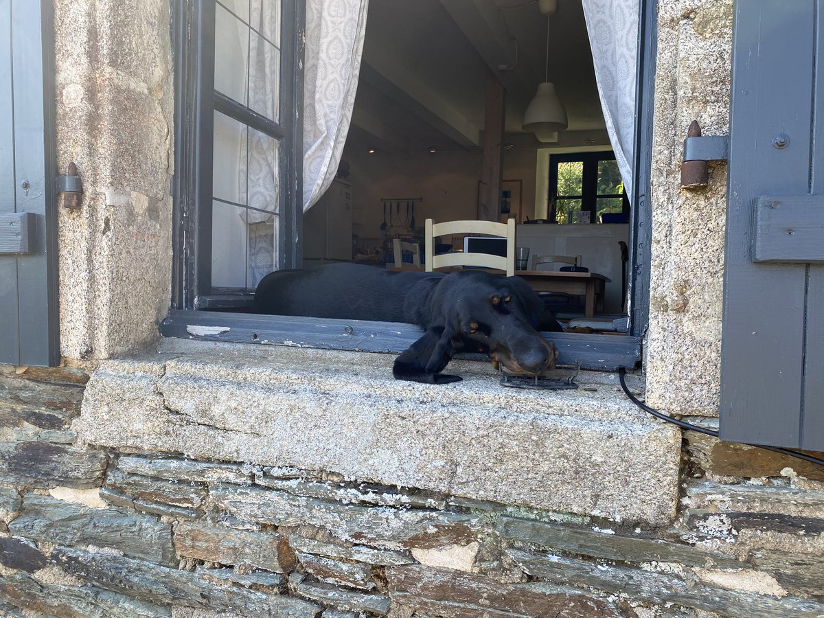 CastleSteward's tweet photo. A dog lazy day https://t.co/nIq9Qidxag