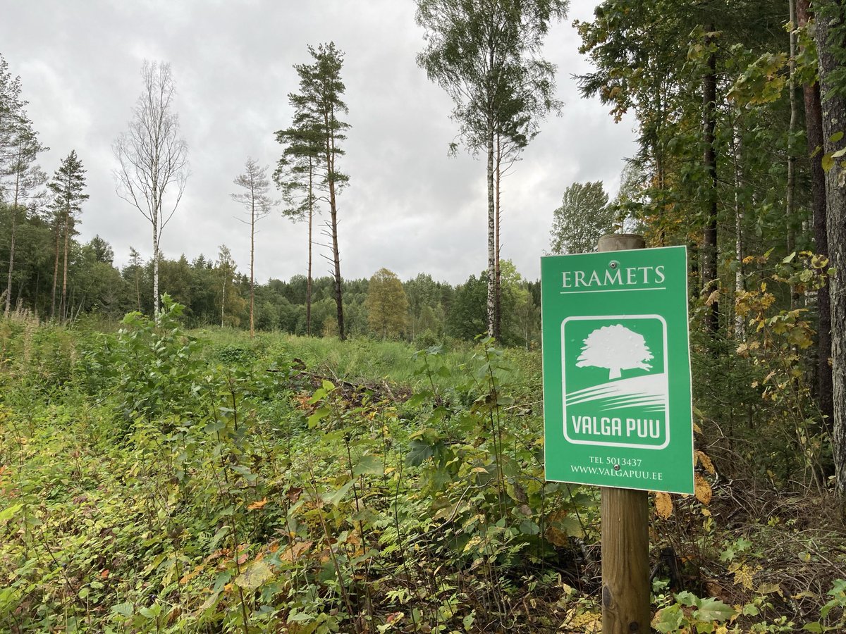 Lihtsalt, et oleks silma ees nende kõlavate sõnade taust: Parempoolsete suurtoetaja on Eesti suurim maaomanik kellele kuuluvad metsafirmad on tuntud väga jõulise tegutsemise poolest kaitsealadel.