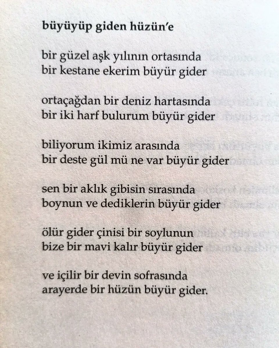 "bir güzel aşk yılının ortasında
bir kestane ekerim büyür gider."

#TurgutUyar 97 Yaşında!
(4 Ağustos 1927 - 22 Ağustos 1985)
📗: Büyük Saat, S.352