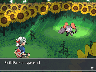 Player back sprites and more backgrounds have been made :)