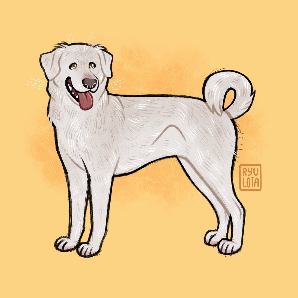 Ryulota's tweet photo. DAY 4 - AKBASH
#doggust #akbash https://t.co/3YHA0Yj7Jt
