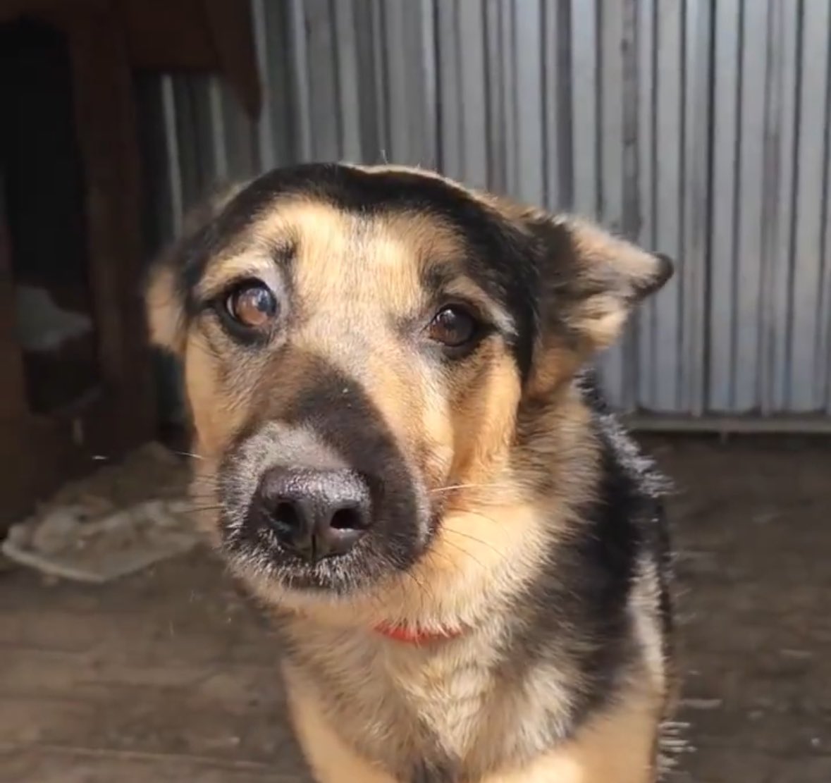 🥺ten smutek w jej oczach… 💔💔💔