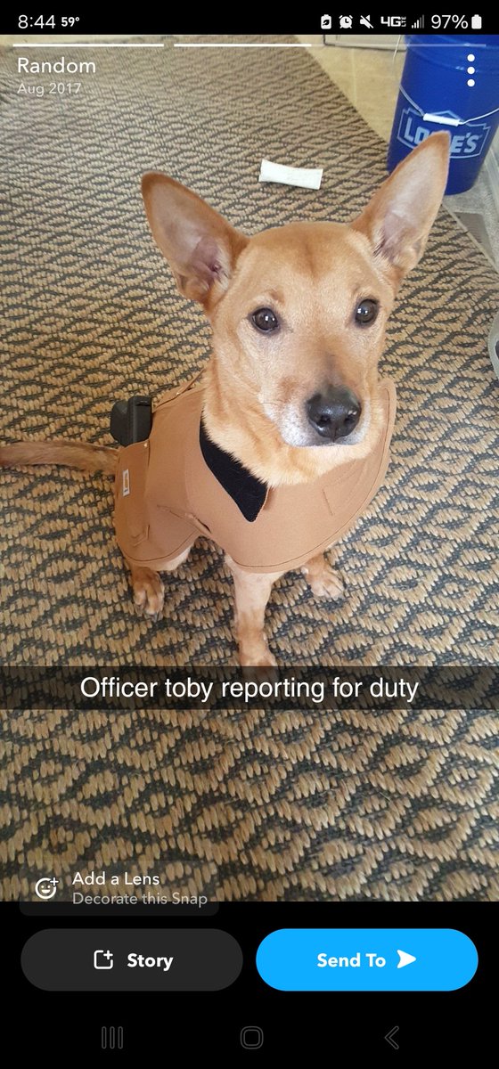 sljks's tweet photo. This will never not be funny. Miss you tobes. https://t.co/o1Hh3CFeS2