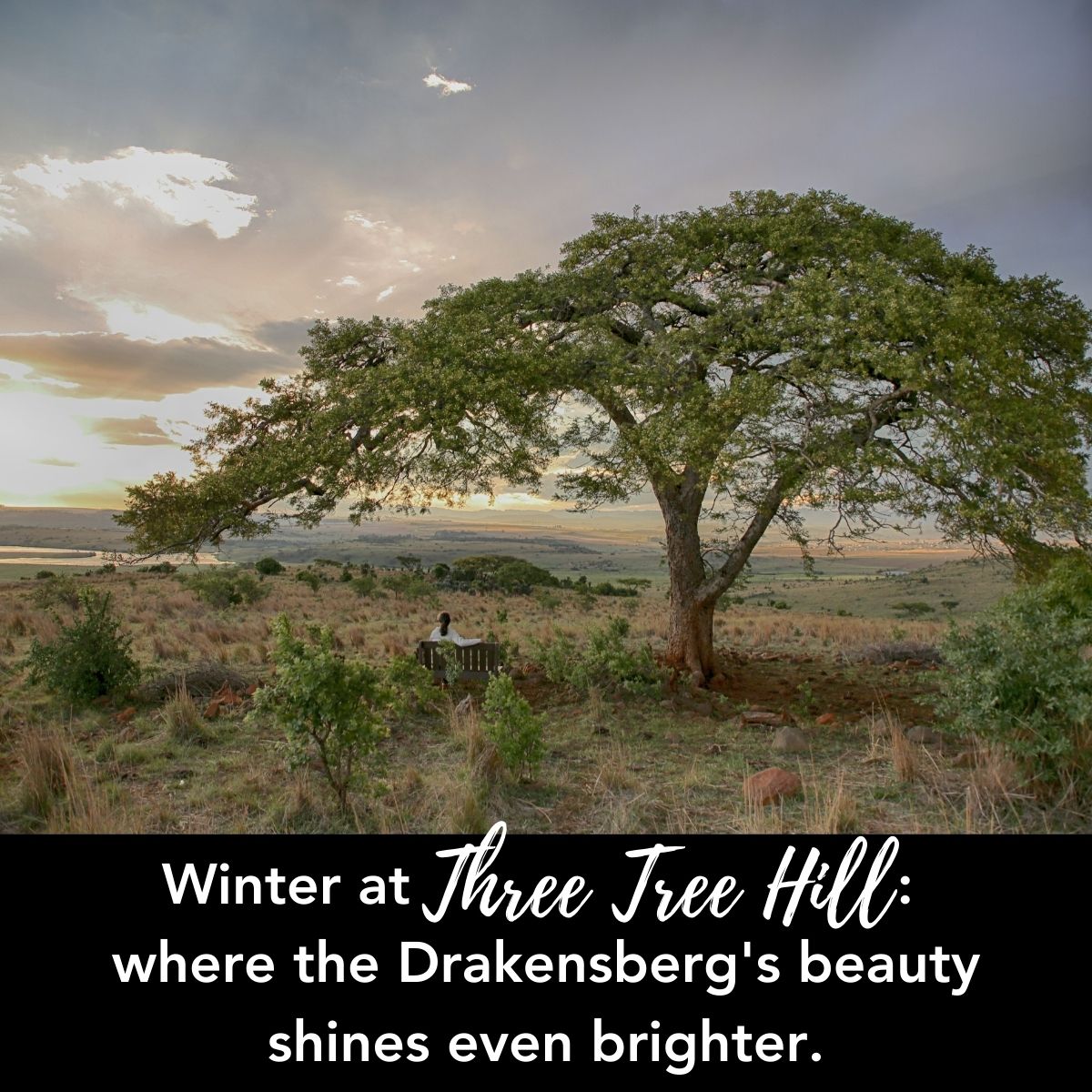 Winter at Three Tree Hill: where the Drakensberg's beauty shines even brighter.