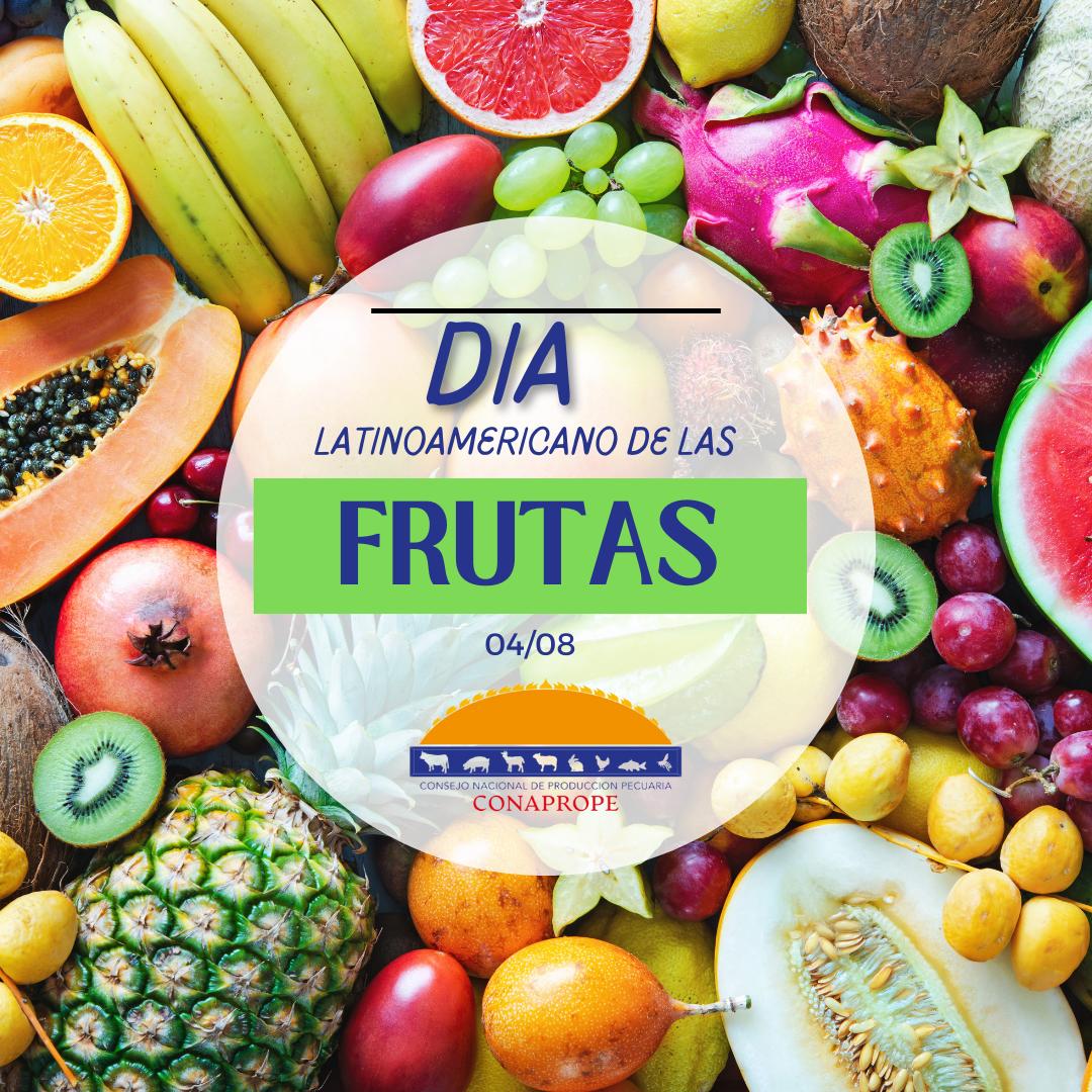 conaprope's tweet photo. Las frutas, alimentos que no deben faltar en nuestra dieta diaria para estar saludables. Te recomendamos consumirlas. #conaprope #frutas https://t.co/wRiGpc6LdR