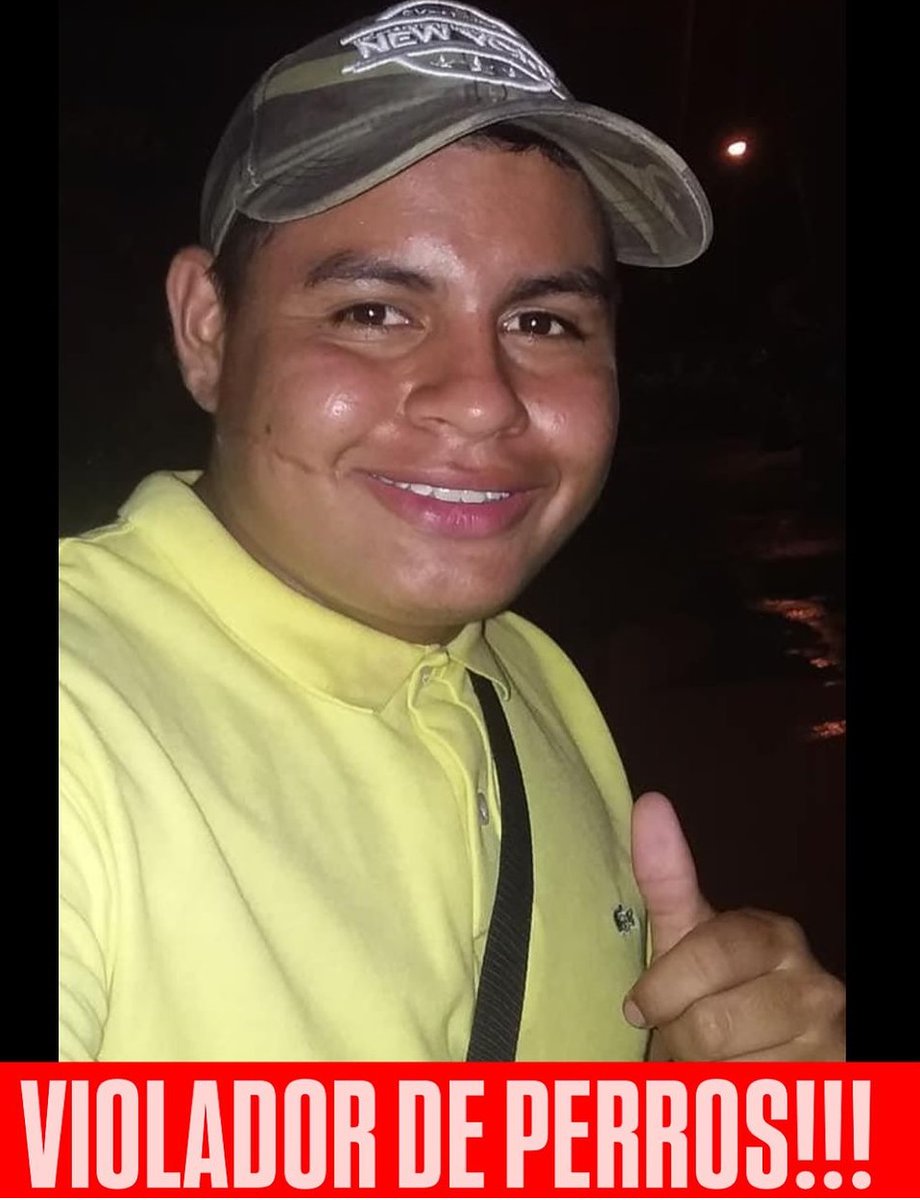 Quedó libre Mauricio Miranda Vargas, el violador de la perrita Burbuja 🤬.
La policía lo había capturado en flagrancia, cuando abusaba sexualmente de la perrita, pero un juez decláro ilegal su captura.

Mientras tanto, Burbuja se encuentra bajo cuidado médico, sufriendo las