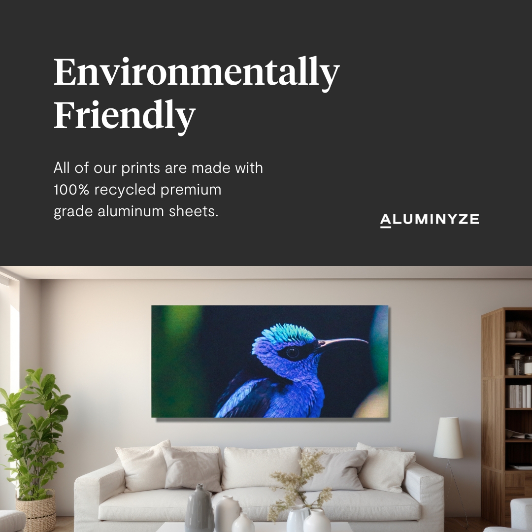 aluminyze's tweet photo. Why settle for ordinary when you can have extraordinary? ✨ Aluminum prints from Aluminyze offer unmatched vibrancy, durability, and a modern aesthetic that transforms your photos into stunning works of art. Elevate your memories today. #WhyAluminum #Aluminyze https://t.co/grRGzYXqLK