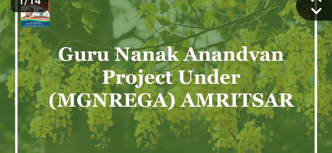 INITIATIVE BY #ADC #RURAL #AMRITSAR
SPECIAL THANKS TO #ECOSIKH #foundation 
#NaturalforestIdea 
#JSA2024:CTR #AFFORESTATION