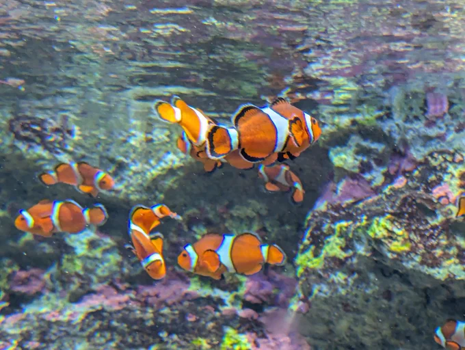 帰りに水族館も寄って帰ったよ〜 