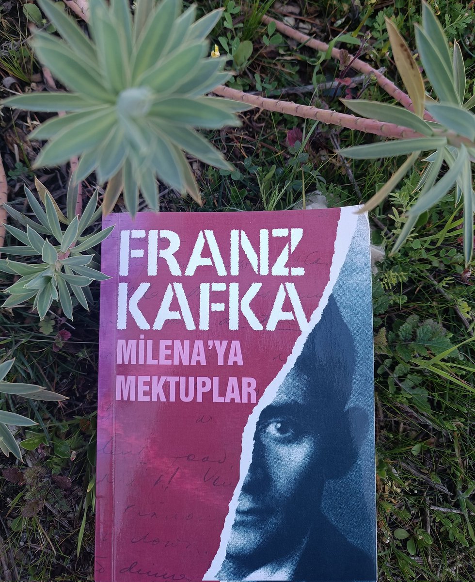 "Elinden gelen her şeyi yapıp güzelleştiremediğin yerleri terk etmek seni kötü biri yapmaz Milena."