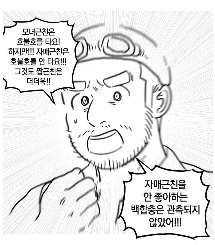 강피엠 tweet media