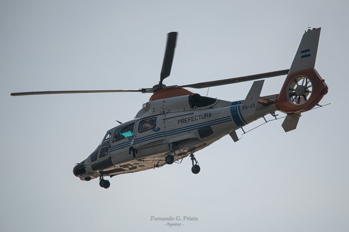 Ferfast's tweet photo. El Dauphin2 PA-43 de @PrefecturaNaval recorriendo la costa del río en #CostaneraNorte 😎🚁
📷🇦🇷 02/08/24
#Helispotter #avgeek #Prefectura #Dauphin2 #Nikon #Sigma
@AirbusHeli @HelisDatabase https://t.co/kpZeQnjrTf
