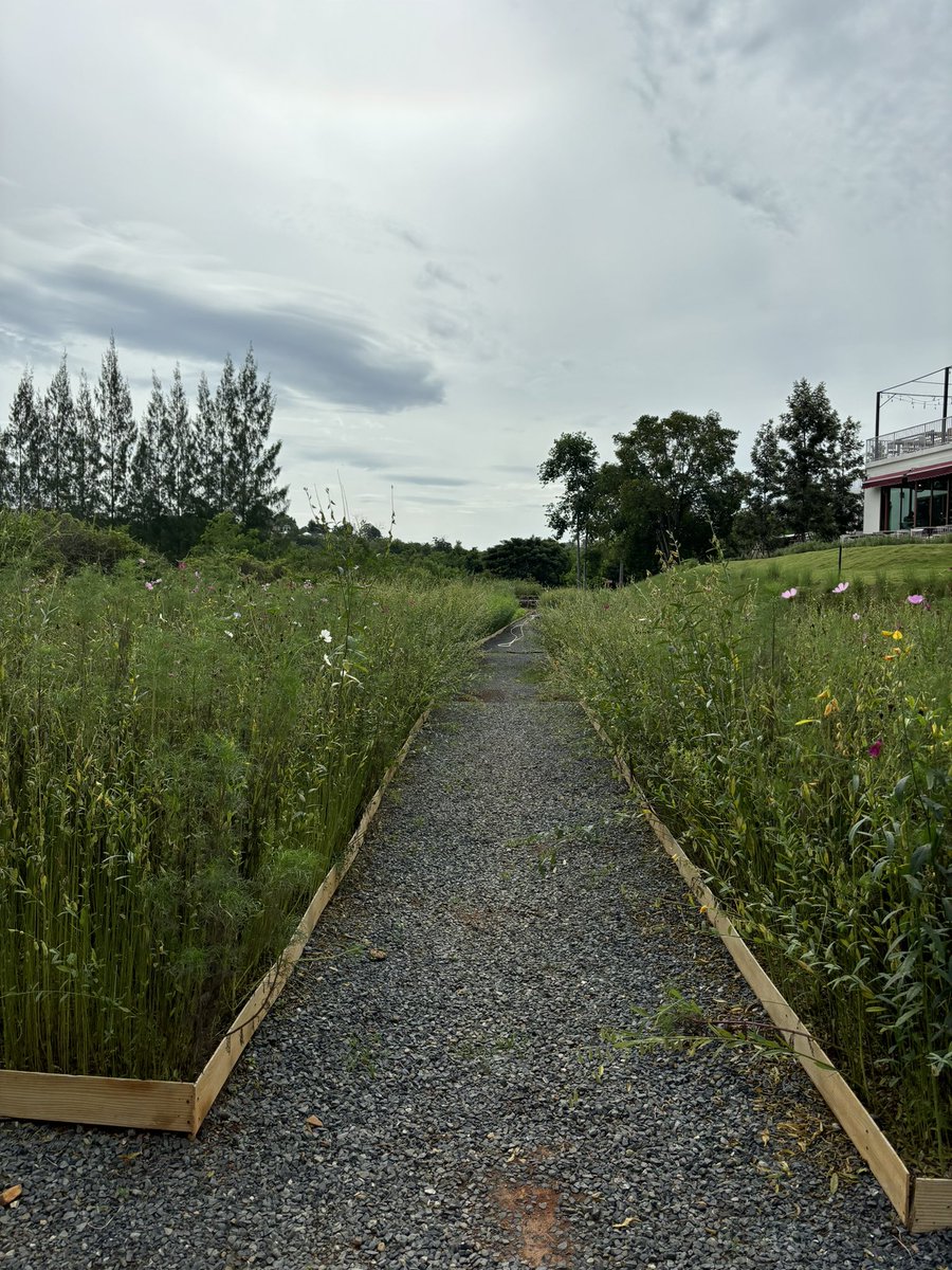 🍊📍Tellus cafe, Khaoyai
<a href="/aroii/">@aroii บอกต่อ</a> <a href="/Kin24hrs/">กิน24ชั่วโมง</a>