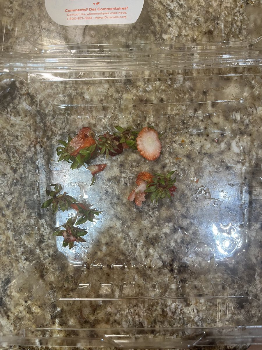 cupcakesdollie's tweet image. #devoured