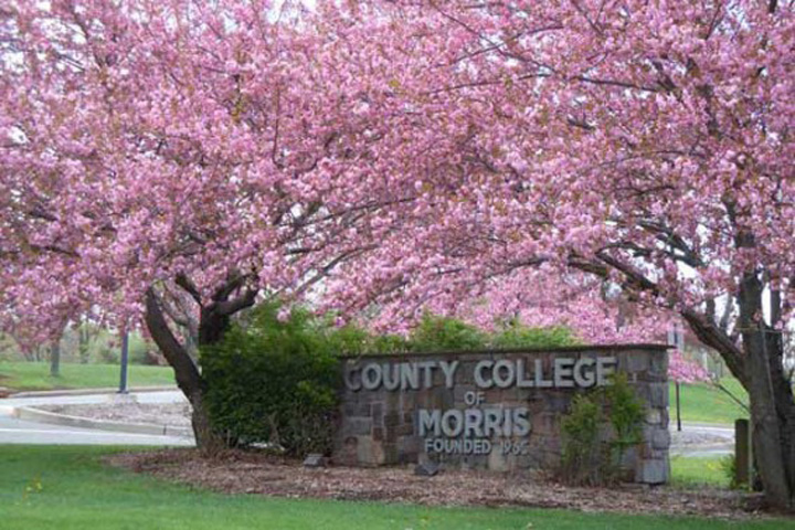 Morris Now (@morrisnowapp) on Twitter photo Applicants Sought for Three Seats on the CCM Board of Trustees parsippanyfocus.com/2024/08/04/app… via <a href="/Parsippanyfocus/">Parsippany Focus</a> @morrisfocus <a href="/MorrisNowApp/">Morris Now</a> <a href="/MorrisCountyNJ/">Morris County NJ</a> Applicants Sought for Three Seats on the CCM Board of Trustees parsippanyfocus.com/2024/08/04/app… via <a href="/Parsippanyfocus/">Parsippany Focus</a> @morrisfocus <a href="/MorrisNowApp/">Morris Now</a> <a href="/MorrisCountyNJ/">Morris County NJ</a>