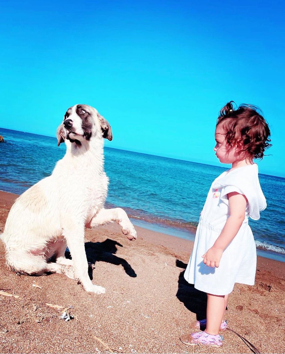 emrahhacioglu's tweet photo. Bu benim kızım Nefes, söyleyeceklerim bu kadar.  #YasayıUygulamayacağız https://t.co/YEahD5yNiI