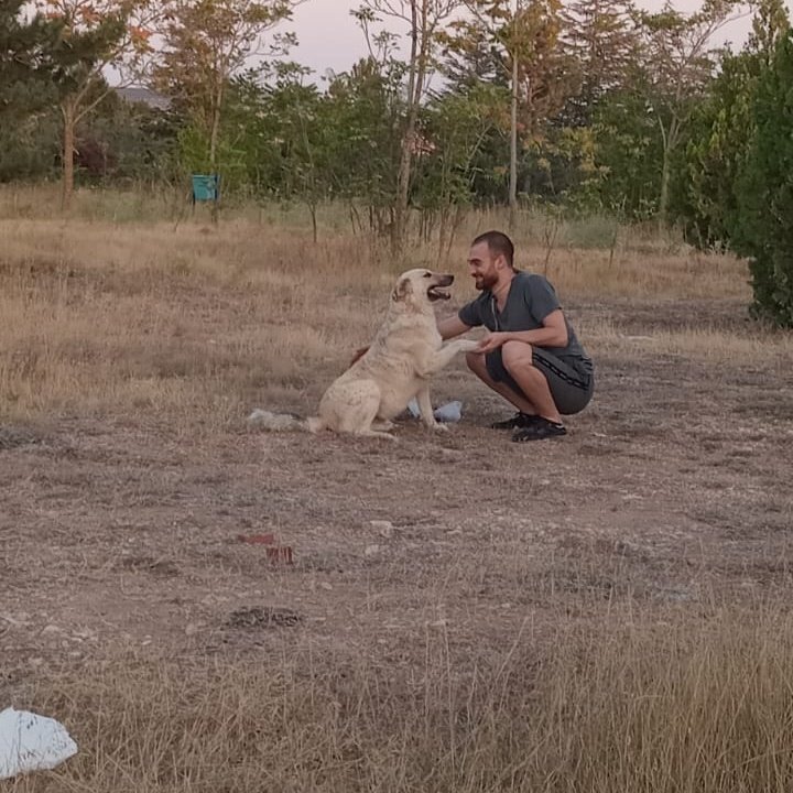 En son seni itlaf ederiz üzülme
#KatliamYasasınıTanımıyoruz #KatliamYasasınıReddediyoruz #KatliamYasasınıReddediyoruz #KatliamYasası
#YasayıUygulamayacağız