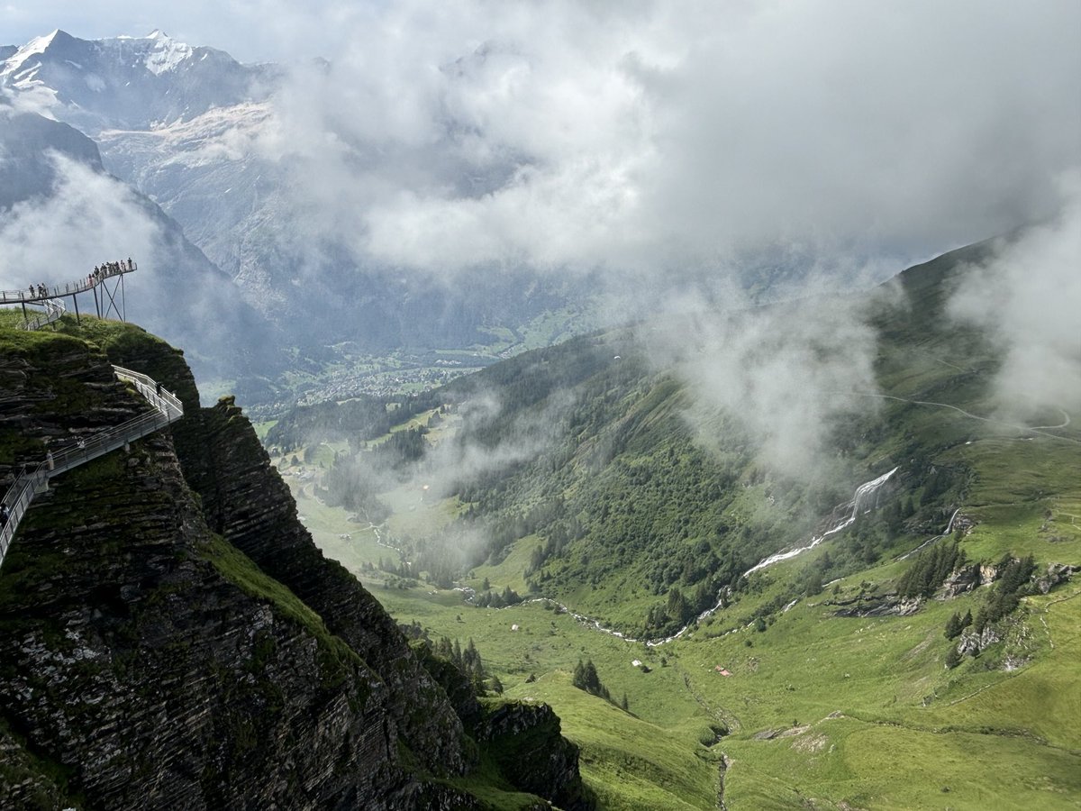 Lori Grimoskas tweet media