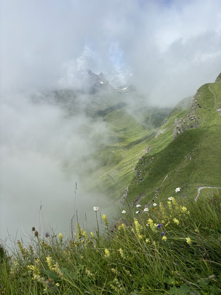 Lori Grimoskas tweet media