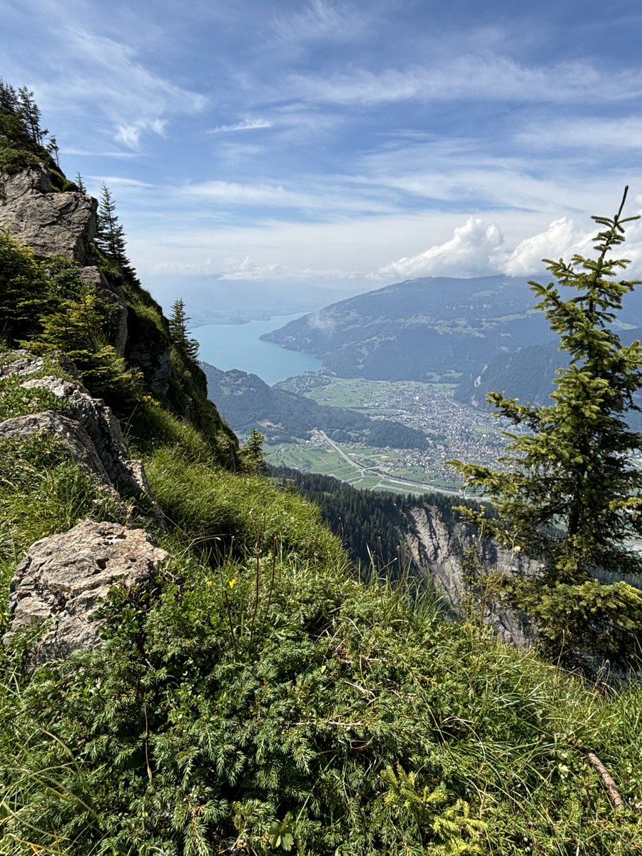 Lori Grimoskas tweet media