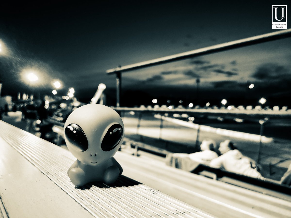 Undercurrent424's tweet photo. Oyster The Alien
#undercurrentimages #photography #lacrossewi #westsalemwi #photographer https://t.co/SR7lyMKnFt