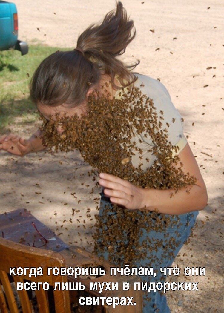 DantesDmitriy's tweet image. 