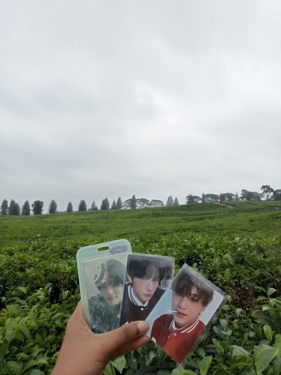 gfouyin's tweet photo. healing bareng ayang dan 2 Hyung kesayangan nyaπ₯° hari ini ke pariban, ke ladang dekat gunung Sinabung, dan kebun teh Siantar, next time zayyan harus ngajak 2 adek nya ini kesini yaπ€
#ZAYYAN #μμ #sing #μ½ #Leo #λ¦¬μ€ #XODIAC #μλμ #pariban #sinabung #siantar https://t.co/SU4971X2na